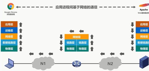 计算机网络 从体系结构到技术开发与服务