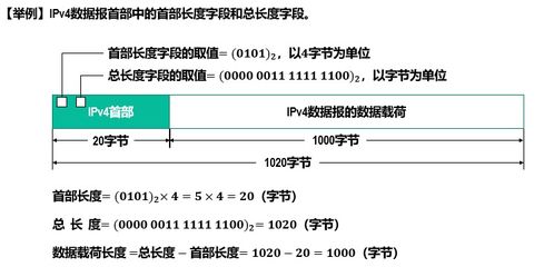计算机网络技术开发与服务 网络层的核心作用与未来展望
